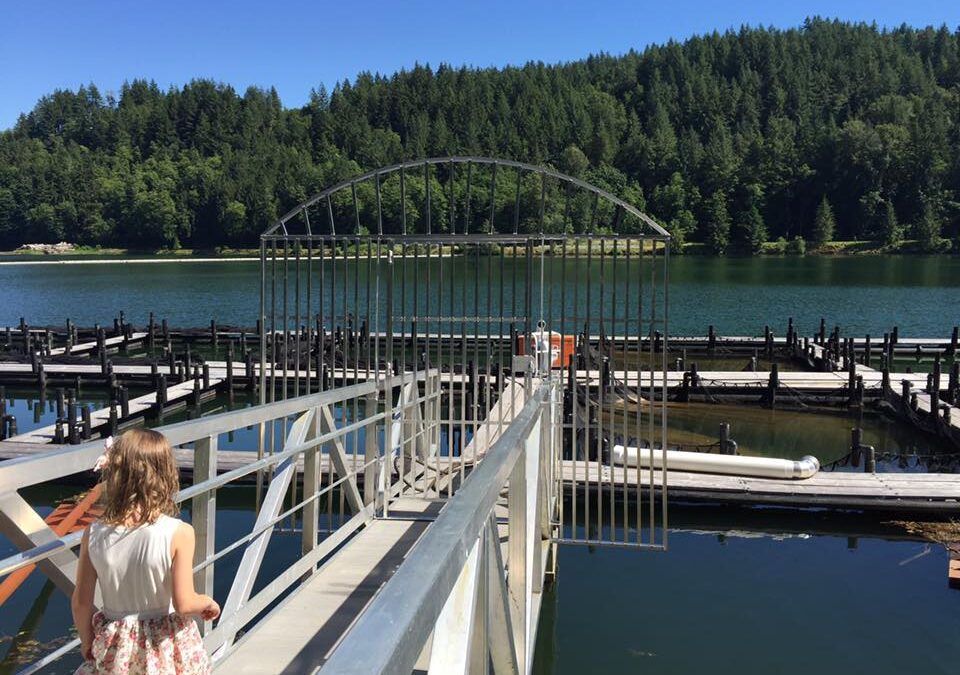 Boat Dock Gate